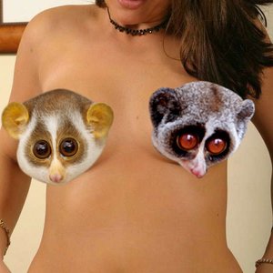 boobs