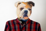 cintre-chien