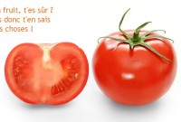 Bright_red_tomato_and_cross_section02