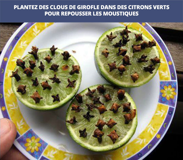 giroflemoustique