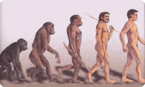 homme Top 10 des choses que je ferais si jétais un australopithèque