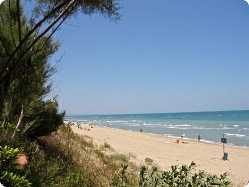 termoli