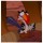 Avatar Elvend_1317378307