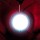 Avatar Fifi_1303760042