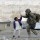 Avatar FreedomPalestine_1353785435