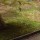 Avatar Green_Light_1319922190