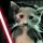 Avatar Meli-Wan_1356002443