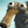 Avatar Scrat_1306350788