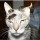 Avatar galbanni_1328848970