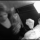 Avatar julie_1305295599
