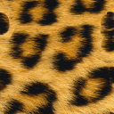 Avatar tititi_1316262720