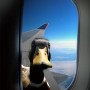 Avatar yobennyb_1348653446