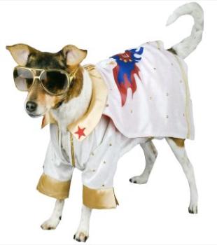 1-Elvis.jpg