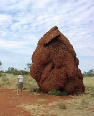 big poo rocher crotte Top 18 des expressions pour annoncer (avec classe) un caca imminent