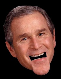 Bush