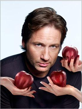 californciation Top 10 des raisons de regarder 1 saison de Californication en 2 jours