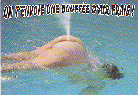 cartepostale27 Top 10 des pires cartes postales de vacances