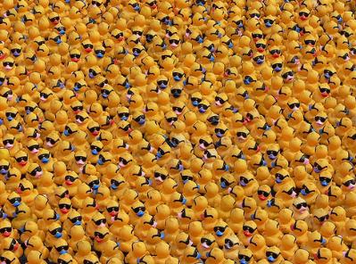 Canard