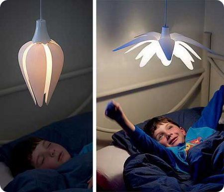 lampes_12.jpg, nov 2008 lampes_12.jpg