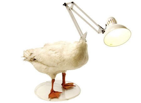 lampes_17.jpg, nov 2008 lampes_17.jpg