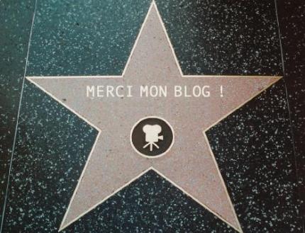 monblog Top 7 des blogs quon aime bien et qui ont méchamment bien réussis