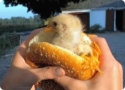 Hamburger