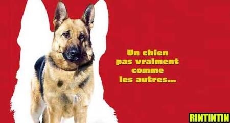 Top 20 des plus mauvais films de 2007 rintintin Top 20 des plus mauvais films de 2007