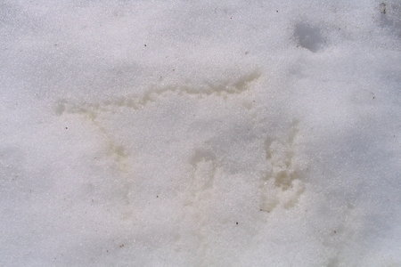 snipshot d4w679g9dfw Top 1 des messages en braille que lon aimerait voir moins souvent sur les pistes de ski