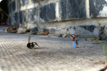 tiny people 07 Top 10 des little people à découvrir mais ne pas écraser
