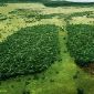 Top 62 des affiches WWF et publicités choquantes pour une planète vivante