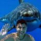 Top 10 des choses à faire en cas d’attaque de requin