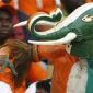 Top 12 des surnoms d’équipes africaines de foot contenant un animal plus ou moins dangeureux