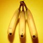 Top 10 des proverbes Africains les plus drôles