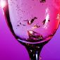 Top 10 des bouteilles d’alcool les plus chères du monde