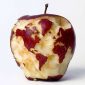 Top 29 des photos de sculptures sur fruits impressionnantes