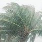 Top 10 des phénomènes de pluie les plus étranges