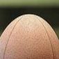 Top 10 des bonnes nouvelles avec le retour du Top 14
