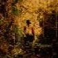 Top 20 des chansons sur la lointaine & dangereuse Jungle (brouuuuu ça fait froid dans le dos)