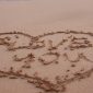 Top 10 des caractéristiques d’un amour de vacances d’ado