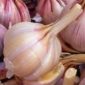 Top 11 des trucs qui font puer de la gueule