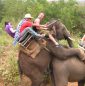 Top 10 des photos gachées par des animaux