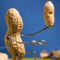 Top 10 des meilleurs Bent objects