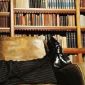 Top 10 des citations &laquo;&nbsp;traduites&nbsp;&raquo; de Jacques Lacan (mais si, le psychanalyste)